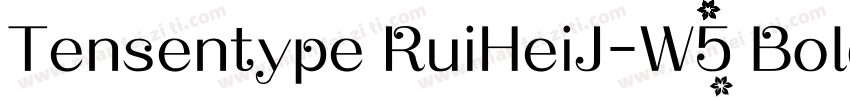 Tensentype RuiHeiJ-W5 Bold字体转换